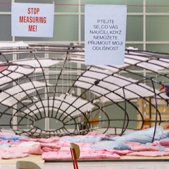 Eva Koťátkovás Installation 'My Body Is Not an Island', (c) Marova (Ausschnitt)