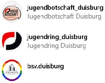 Jugendwahlarena Partner